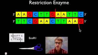 Molecular Biology [upl. by Croydon]