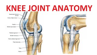 Dislocating Knee Cap Surgery  MPFL Reconstruction [upl. by Ellissa]