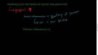 23  MORPHOLOGIC PATTERNS OF ACUTE INFLAMMATION  Serous Fibrinous Suppurative inflammation [upl. by Eed]