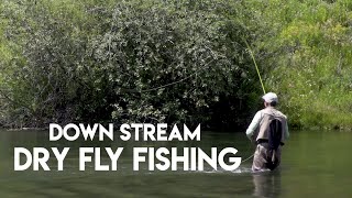 Dry Fly Fishing Down Stream  How To [upl. by Ahsenar]