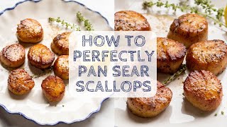 Perfectly Seared Scallops [upl. by Altis]