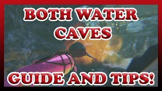 ARK  Both Water Caves  The Island  Guide and Tips  Official  Solo [upl. by Ennaerb]