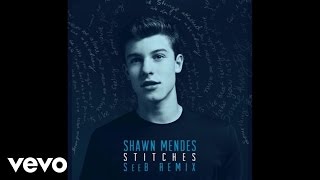 Shawn Mendes  Stitches SeeB Remix  Official Audio [upl. by Annaihs25]